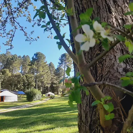 Yourtes Corse Le Pre Aux Biches * Zonza