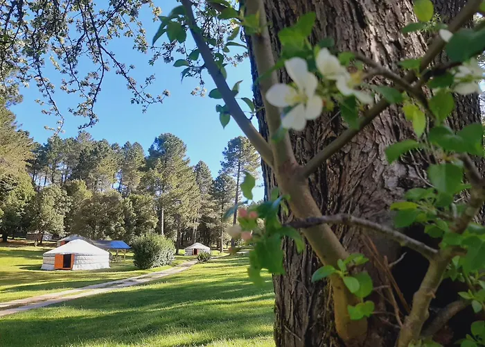 Yourtes Corse Le Pre Aux Biches * Zonza