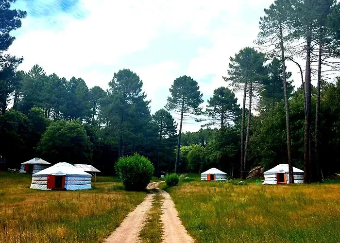 Luxury tent Yourtes Corse Le Pre Aux Biches